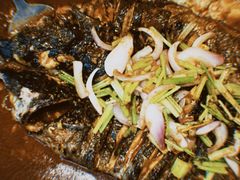 -鱼酷活鱼烤鱼(南京水游城店)