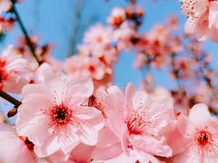 -白塘生态植物园