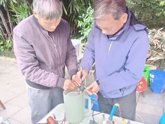 -金花茶公园