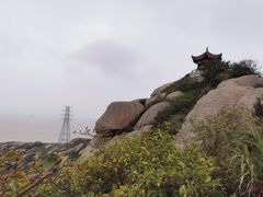 -洋山深水港