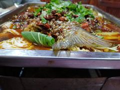 -西安外国语大学-学生食堂(栾树大道店)