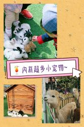 -萌宠亲子动物乐园(槐房万达店)