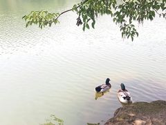 -白马涧龙池景区