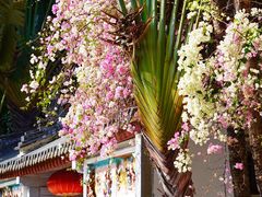 -深圳国际园林花卉博览园