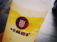 芒来芒趣-一只酸奶牛(八一路店)