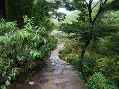 -WILDS 野有食(碧坞店)