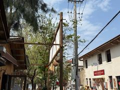 -一树一叶·福建茶档(石鼓路店)