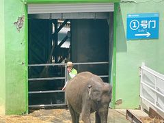 -大连森林动物园