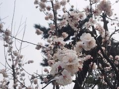 -云龙山