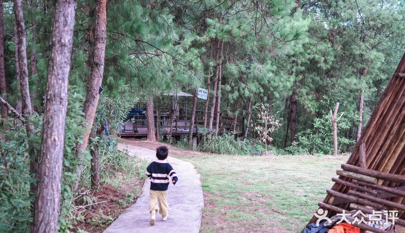 主城小众遛娃农场&松林烧烤&露营⛺️&捉鸡磨豆浆喂兔子🐰