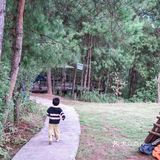 主城小众遛娃农场&松林烧烤&露营⛺️&捉鸡磨豆浆喂兔子🐰