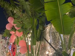 -天空花园餐吧·生日·团建(南山店)