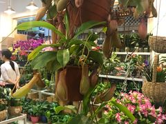 -双季花艺园艺市场(浦东店)