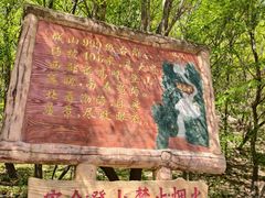 -金龙寺国家森林公园