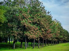 -汉长安城未央宫国家考古遗址公园