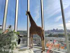 -IMON·HANSA潮玩玩偶毛绒玩具(通州万象汇店)