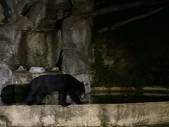 -清迈夜间动物园
