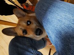 -阿木舂记·特色小吃(平江路店)