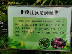 -华南国家植物园-售票处