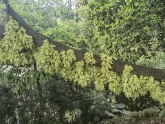 -天鹿湖森林公园