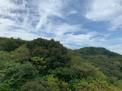 -普陀山风景区-佛顶山