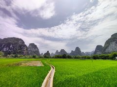 -明仕田园