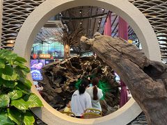 -大树头森林餐厅(番禺广场店)