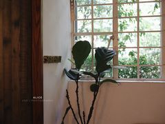 -MAISON门前杂货店