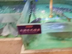 -鱼你相聚·河鲜馆(袁家岭店)
