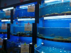 水产区-董大蒸货(方塔园店)