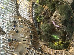 -二刀潮牛(重庆光环购物公园店)