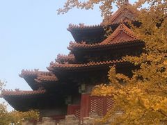 -东华门大街小区