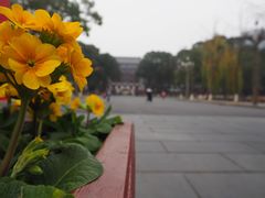 -四川大学(望江校区)