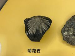 -湖南省地质博物馆