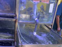 -八仔大富楼·河鲜(西江店)