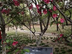 -海棠花溪(元大都城垣遗址公园)