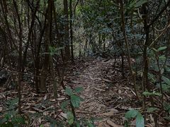 -梧桐山风景名胜区