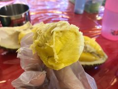 榴莲-都念榴莲·城市榴莲