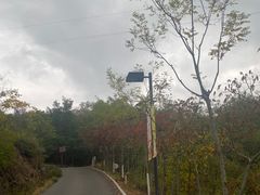 -欢乐松鼠谷