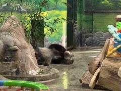 -临沂动植物园