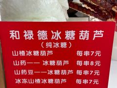 -和禄德冰糖葫芦