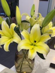 -MEMO Skin漫溯皮肤管理