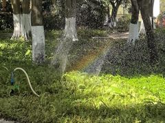 -黄埔荔枝公园