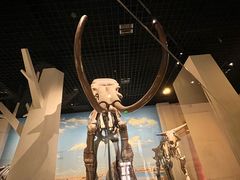 -国家自然博物馆