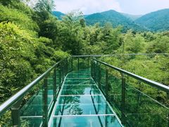 -陶祖圣境风景区