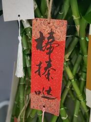 -卡莫瑜伽·普拉提