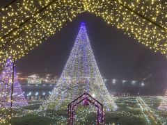 -轻井泽王子购物广场