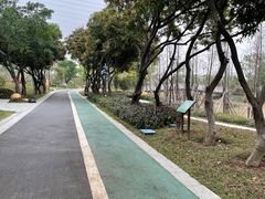 -王借岗森林公园