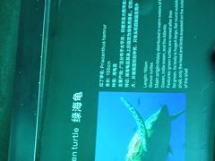 -乐从天佑城海洋馆
