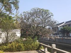 -南沙蒲洲花园